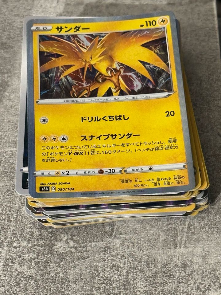60 Holos Pokemon Deutsch / Japanisch in Damme