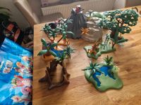 riesige Playmobil Vulkanwelt mit Dinosaurier,  Höhle Bayern - Bamberg Vorschau