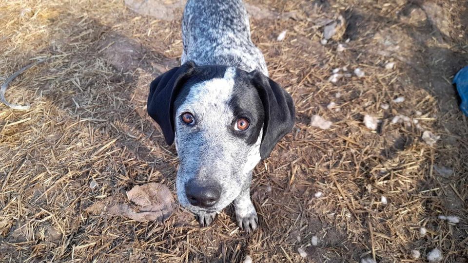 Selma und Luise suchen ein Zuhause, Tierschutz in Freising