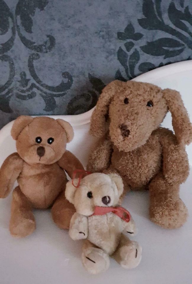 3 niedliche Plüschtiere,  Teddy /Hund , ein Preis für 3 in Flensburg