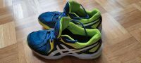 Hallenschuhe ASICS Gr. 39.5 Top Nordrhein-Westfalen - Krefeld Vorschau