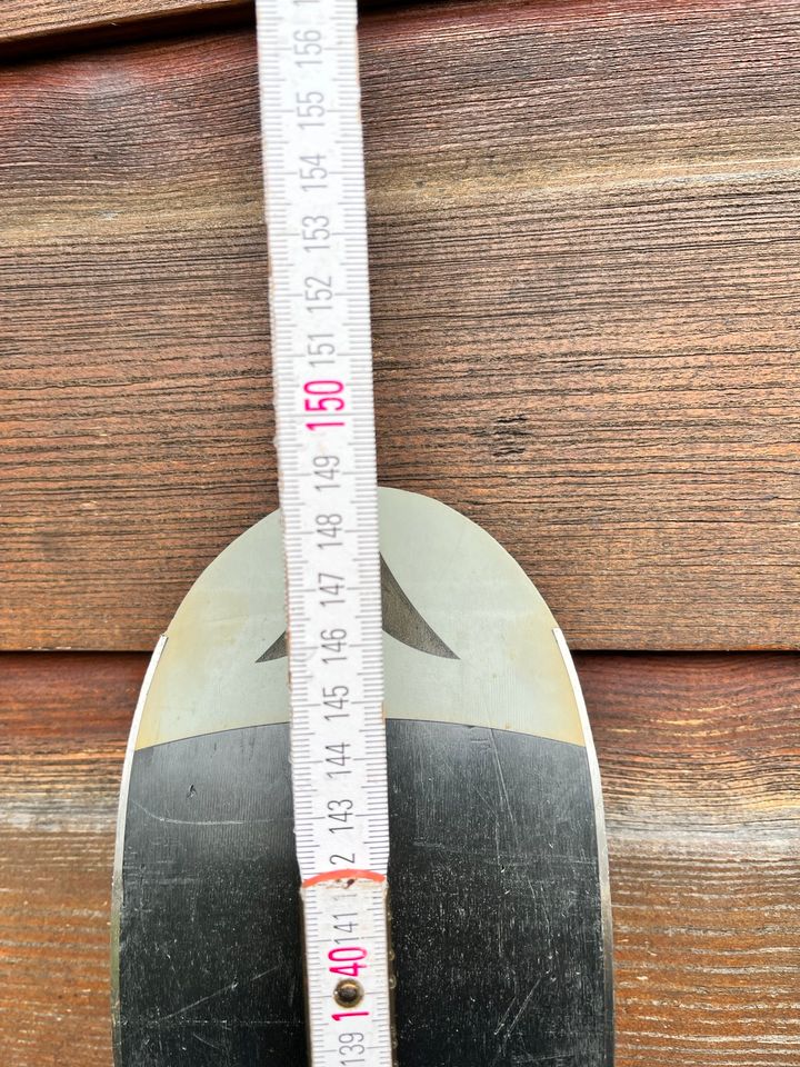 Ski 150 cm in Freiburg im Breisgau