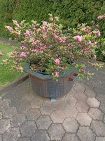 Blumenküpel Kupfer Unikat mit Baum Baden-Württemberg - Gaggenau Vorschau