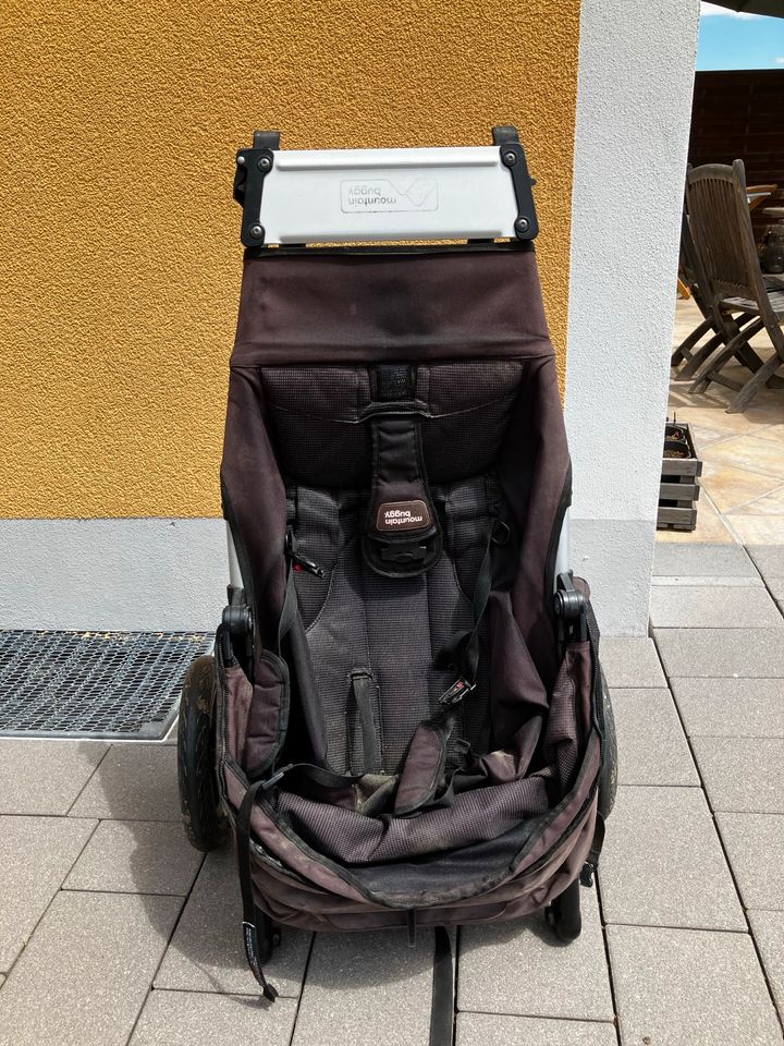 Mountain Buggy in Laufen