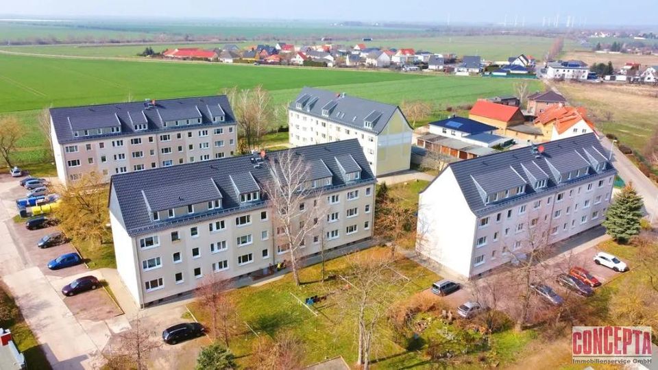 Sanierte Wohnung im Grünen in Delitzsch