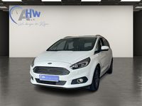 Ford S-MAX 2.0 EcoBlue Aut.Titanium Wuppertal - Vohwinkel Vorschau