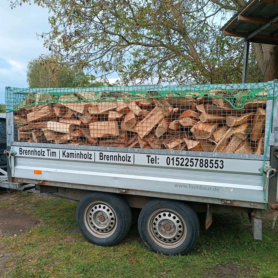 Brennholz Kaminholz Scheitholz Feuerholz in Guben