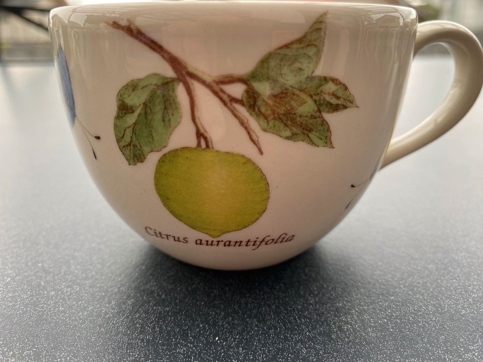 Wedgwood Kaffeetasse 9cm Durchmesser in Niederbergkirchen