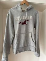 Hoddies Marke Hollister und Nike Baden-Württemberg - Heidelberg Vorschau