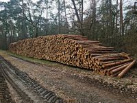 Buche + Eiche + Kiefer - Mix Stammholz Brennholz Rundholz Hessen - Kelsterbach Vorschau