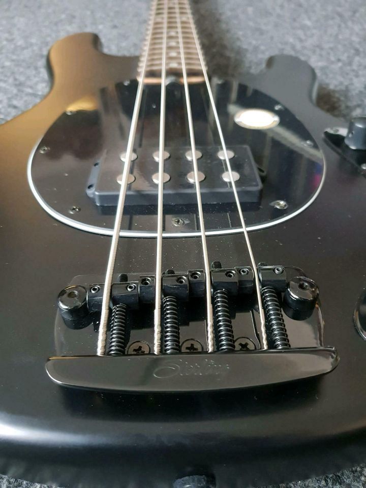 Music Man Sterling Sting Ray 34 E-Bass schwarz in Hannover