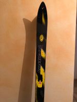 Ski Rossignol 170 cm für Damen inkl Bindung von Marker Bayern - Bockhorn Vorschau