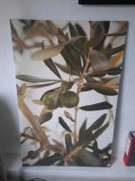 Ikea Bild "Olive" 78x118 cm Niedersachsen - Osnabrück Vorschau