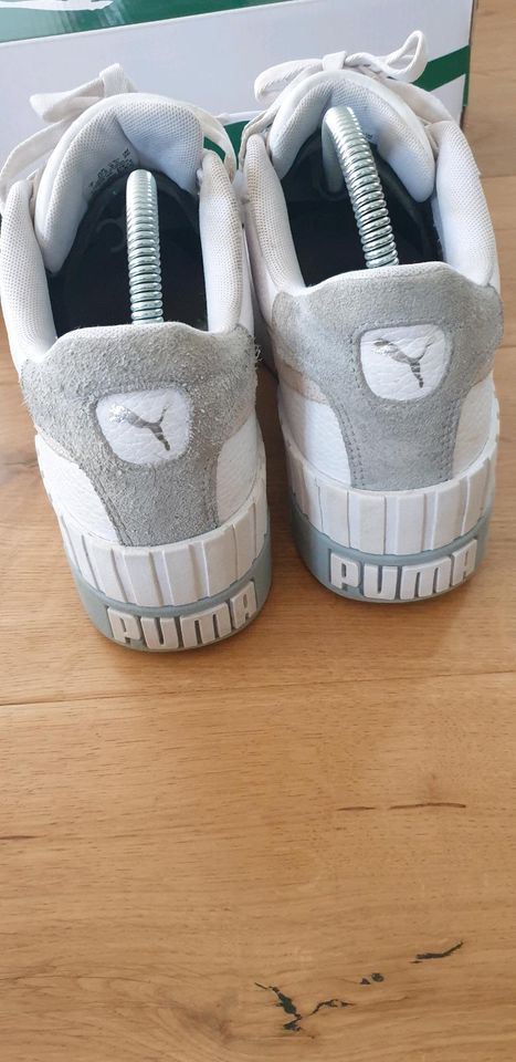 Puma Sneaker 40,5 in Castell Unterfranken