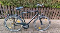 Herren Raleigh Trekkingrad 28" Nordrhein-Westfalen - Selm Vorschau