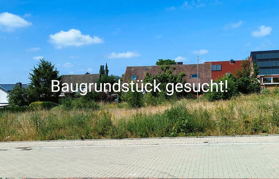 Baugrundstück Bauplatz Grundstück gesucht in Velpke