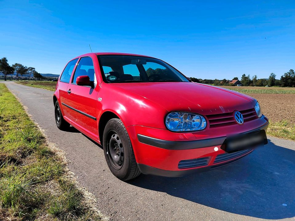 Golf 4 1,4, TÜV neu, 8 fach bereift in Katlenburg-Lindau