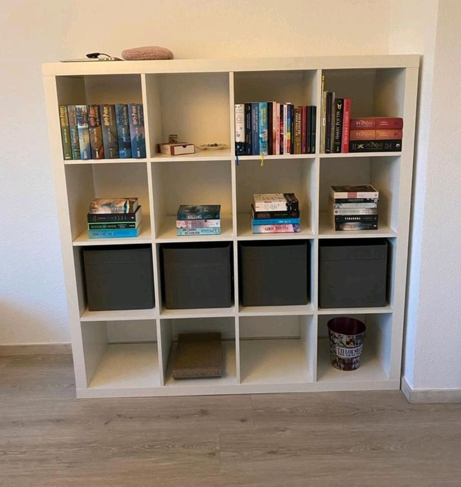 Ikea Kallax/Expedit Regal Bücherregal 4x4 in Dortmund