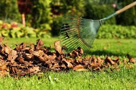 Biete Gartenarbeiten an in Duisburg