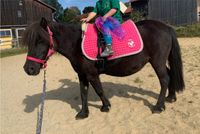 Pony Reiten für Kinder Reitpädagogik Ponyreiten Bayern - Neuschönau Vorschau