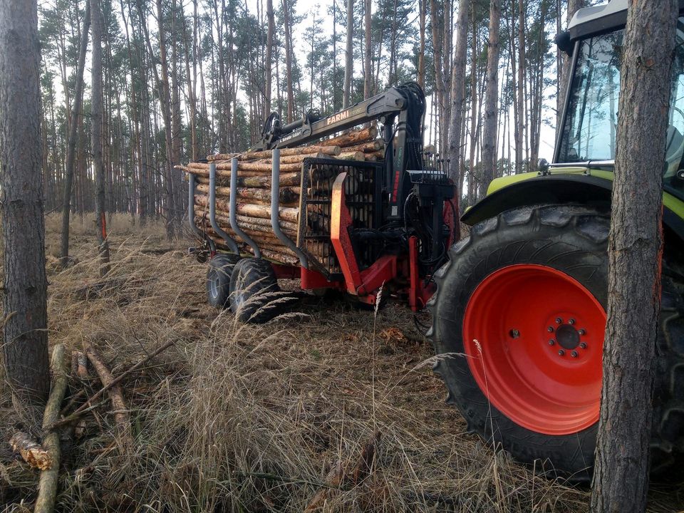 Forstdienstleistungen im Nebenerwerb in Blumberg