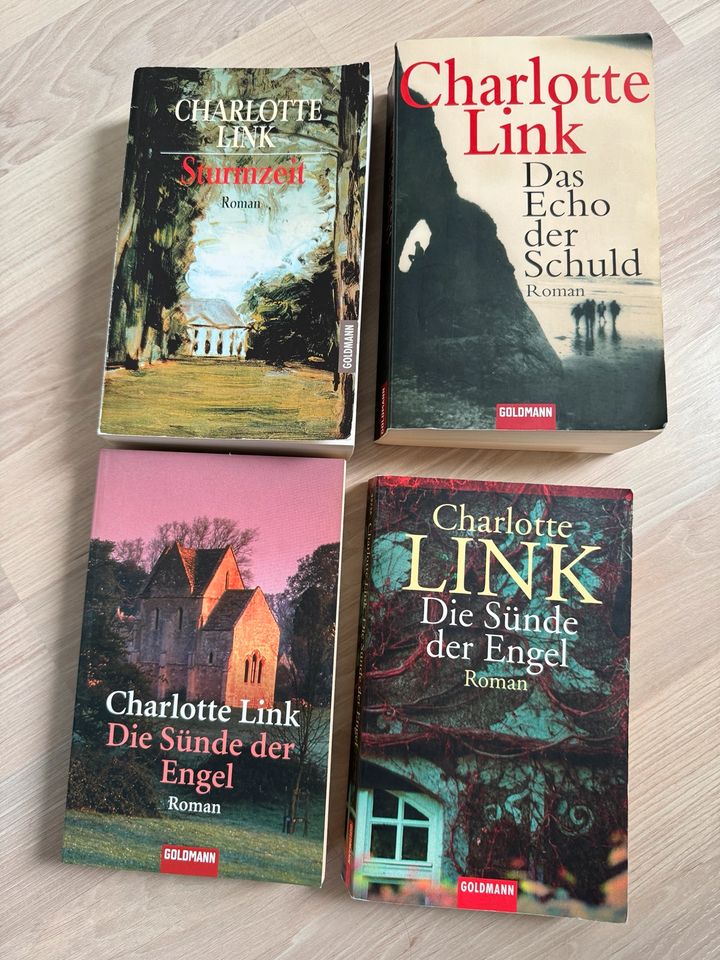Charlotte Link - Sturmzeit - Die Sünde der Engel in Zirndorf