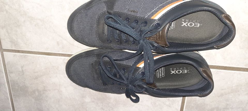 GEOX Sportliche Herren-Sneakers in Dachsenhausen