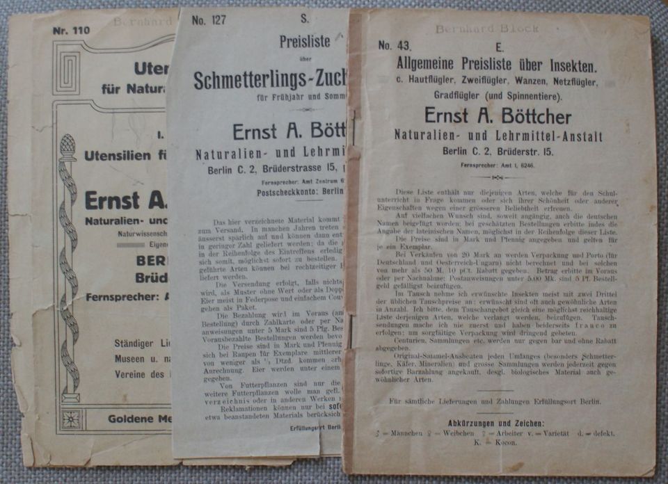 K. Lampert "Großschmetterlinge und Raupen Mitteleuropas" 1907 in Langenberg