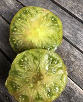 Bio Tomaten "Green Moldovan" Setzlinge Jungpflanzen Samenfest Baden-Württemberg - Mühlacker Vorschau