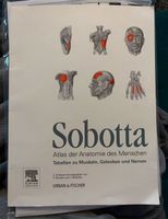 Sobotta- Atlas der Anatomie des Menschen Leipzig - Leipzig, Zentrum Vorschau
