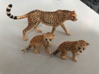 Schleich Gepard Raubkatze Geparden Nordrhein-Westfalen - Schleiden Vorschau