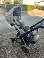 Kimba Neo 1/ Rehabuggy Baden-Württemberg - Neulingen Vorschau