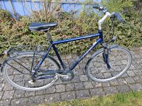 Stevens Jazz 28 Zoll Herrenfahrrad Bayern - Rohr Mittelfr. Vorschau