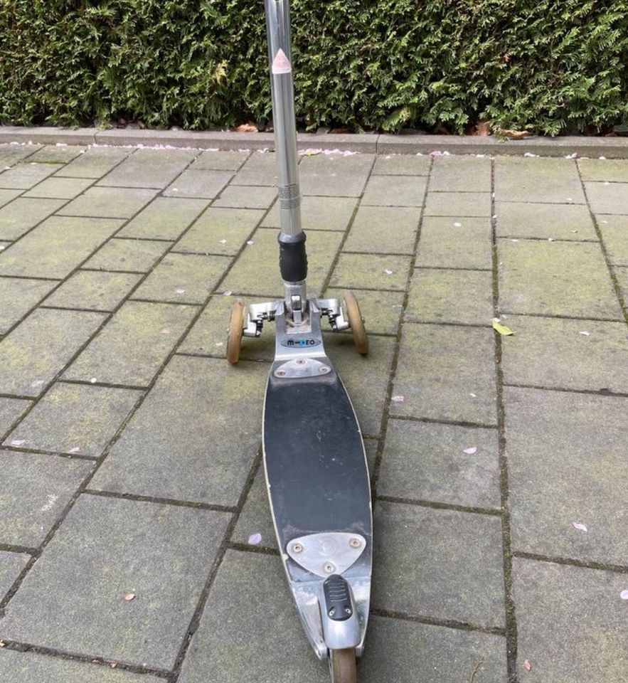 Micro Kickboard Roller in Marl