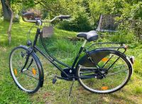 Hollandrad Fahrrad Damen 28 Zoll Rheinland-Pfalz - Roth b Hamm Vorschau