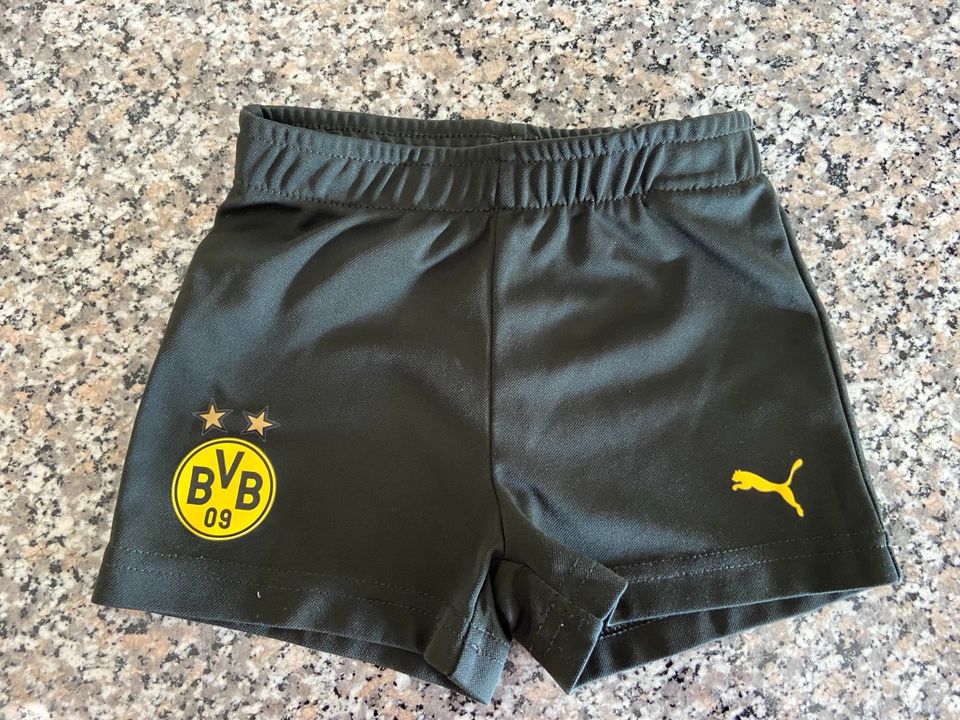 BVB Traininghose Shorts in Schwerte