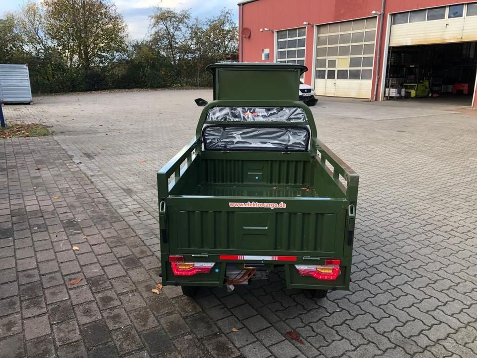 3Rad AMR Elektro Cargo mit Kabine Pritsche Kipper 400 Big Volta TUKTUK APE Lastendreirad TUCK TUCK MEGA CABIN Geco Stormborn Green Speed Lastendreirad TUK TUK Futura Runner Elektrofrosch Frosch 3 Rad in Waren (Müritz)