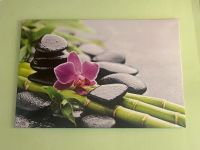 Bild Leinwand Orchidee Rosa Pink grün Stein Meditation Wellness Bayern - Maisach Vorschau