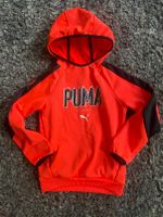 Sport Shirt Pulli Hoody Kapuzenpulli Puma neon Orange Brandenburg - Oranienburg Vorschau