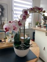 Kunstpflanze Orchidee Obervieland - Kattenturm Vorschau