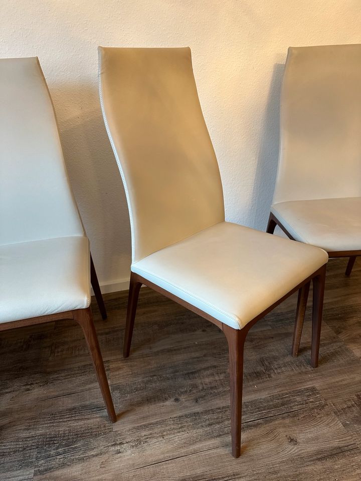 Cattelan Italia Stühle Esszimmerstühle Leder Creme in Altenstadt