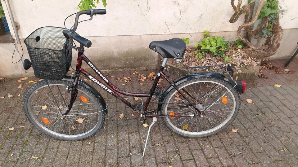 Fahrrad mit 26 Zoll in Speyer