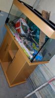 Juwel Aquarium 180 liter Nordrhein-Westfalen - Schwelm Vorschau