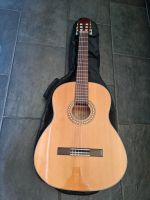 Gitarre  Billy Ray SGN6600 Rheinland-Pfalz - Nürburg Vorschau