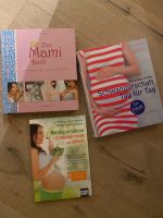 SET Alles über meine Schwangerschaft Tag für Tag Ratgeber Buch Schleswig-Holstein - Lübeck Vorschau