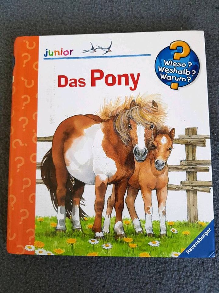 Ravensburger Wieso weshalb warum Bücher Kinder in Parchtitz