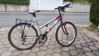 Damenfahrrad Baden-Württemberg - Tauberbischofsheim Vorschau