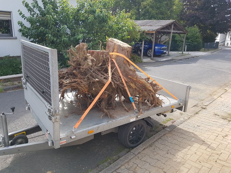 Lieferung, Transport, Mutterboden, Rindenmulch, Schotter in Dornburg