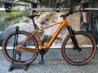 Orbea Urrun 30 2023 E-MTB Shimano EP801-RS Größe L  -20% Baden-Württemberg - Bad Wimpfen Vorschau