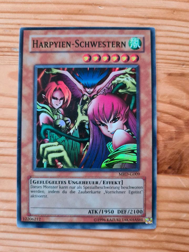 Yugioh Karte Harpyien in Eitelborn